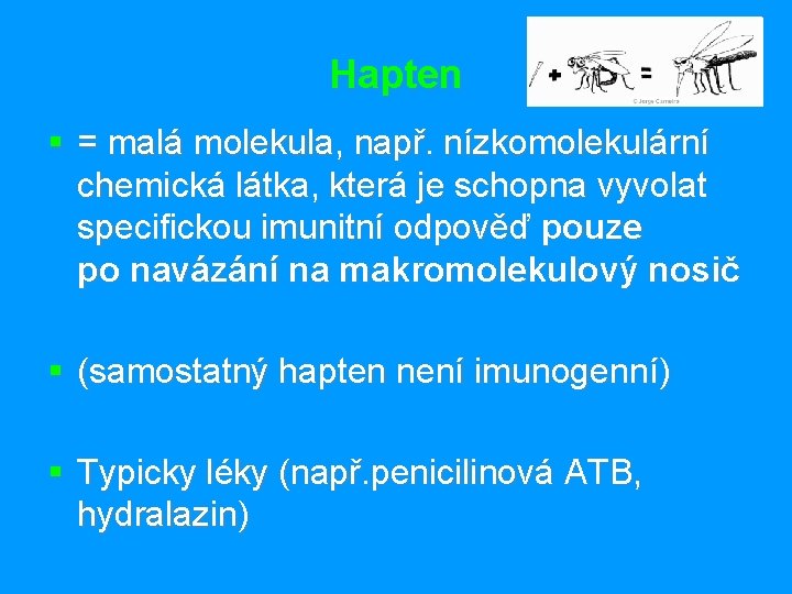 Hapten § = malá molekula, např. nízkomolekulární chemická látka, která je schopna vyvolat specifickou