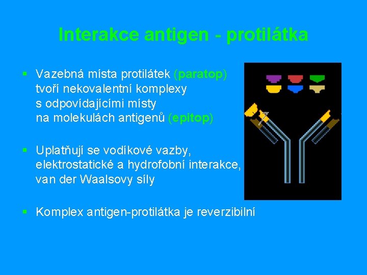 Interakce antigen - protilátka § Vazebná místa protilátek (paratop) tvoří nekovalentní komplexy s odpovídajícími