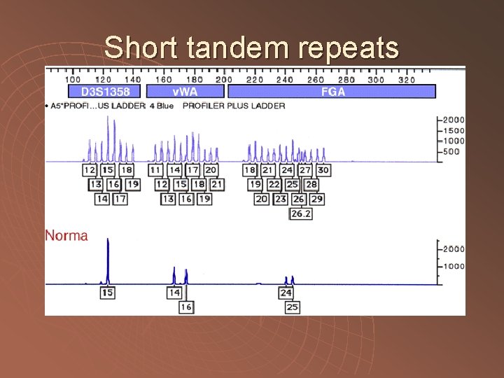 Short tandem repeats 