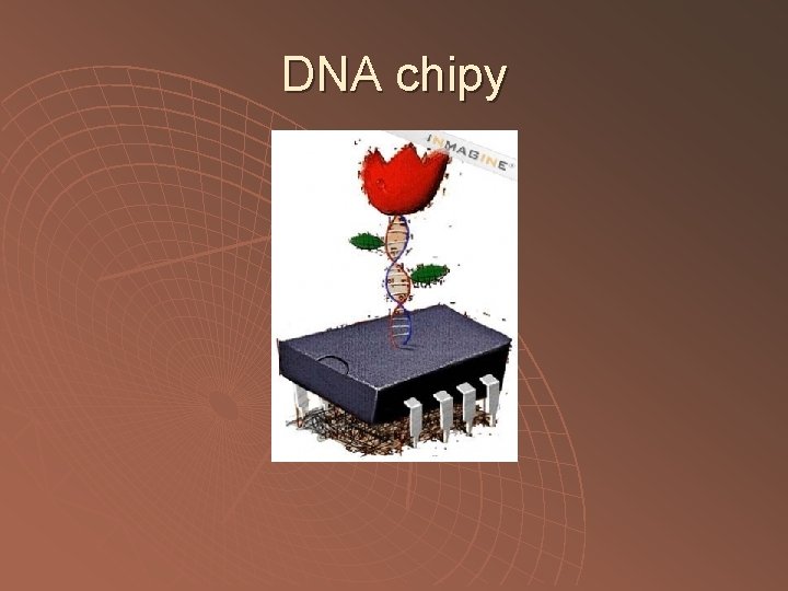 DNA chipy 