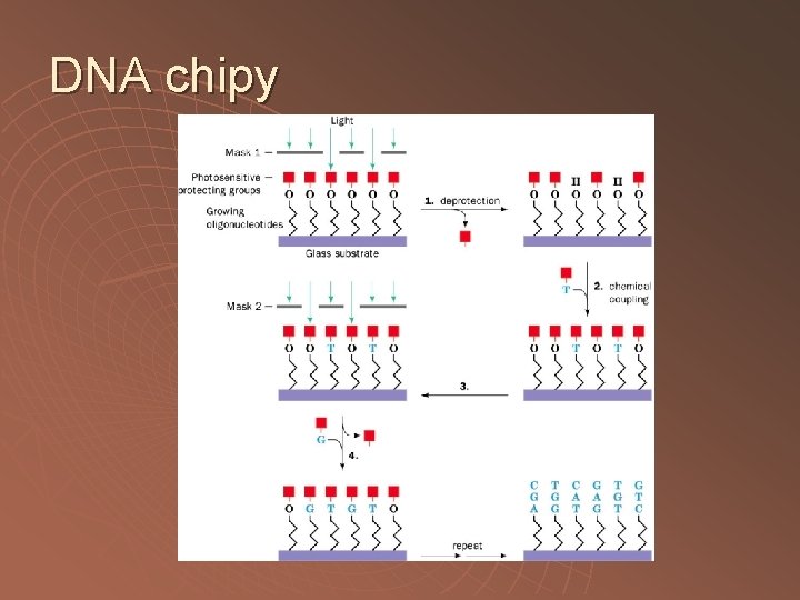 DNA chipy 
