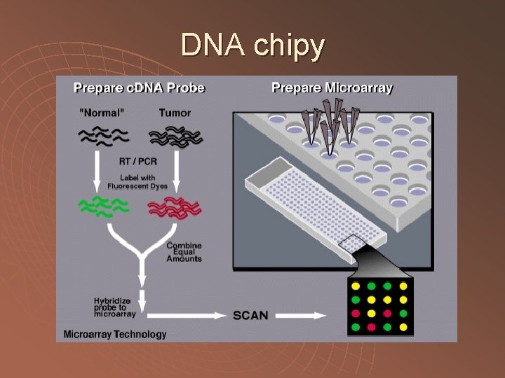 DNA chipy 