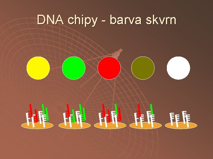 DNA chipy - barva skvrn 