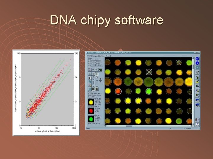 DNA chipy software 