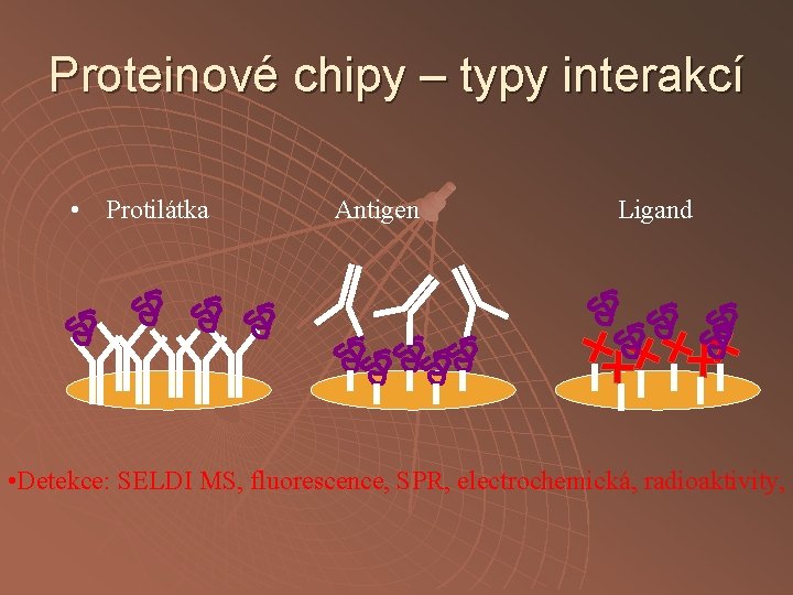 Proteinové chipy – typy interakcí • Protilátka Antigen Ligand • Detekce: SELDI MS, fluorescence,