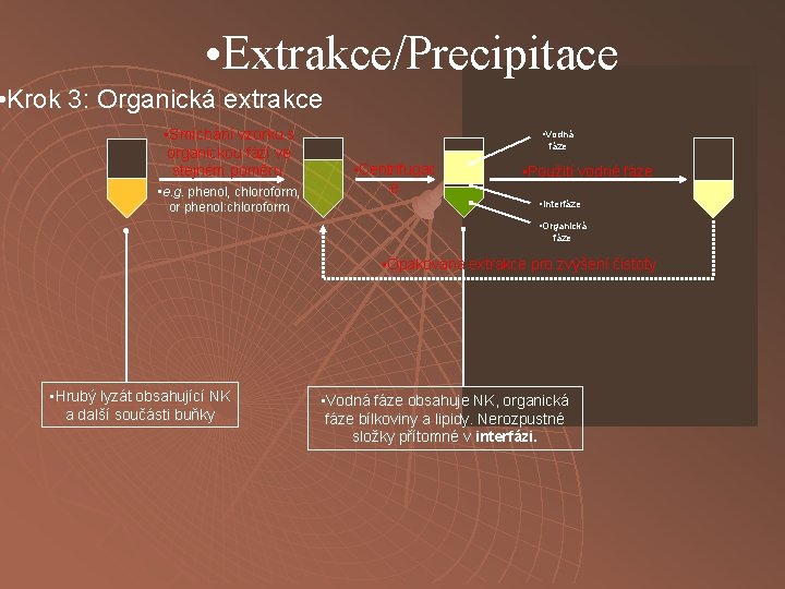  • Extrakce/Precipitace • Krok 3: Organická extrakce • Smíchání vzorku s organickou fází