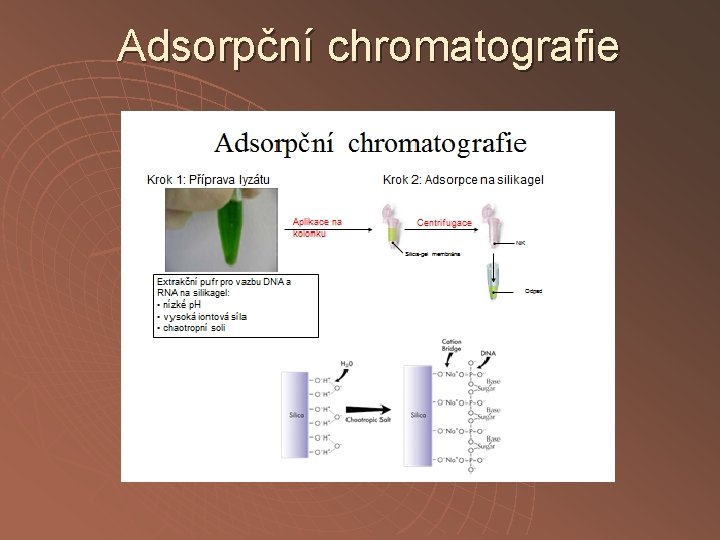 Adsorpční chromatografie 