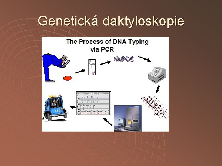 Genetická daktyloskopie 