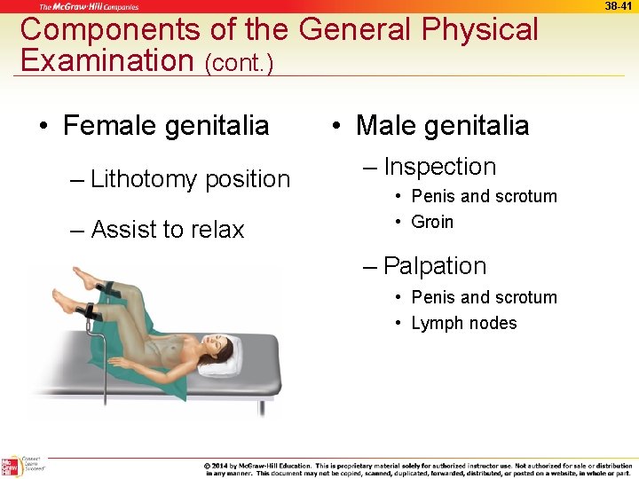 Components of the General Physical Examination (cont. ) • Female genitalia – Lithotomy position