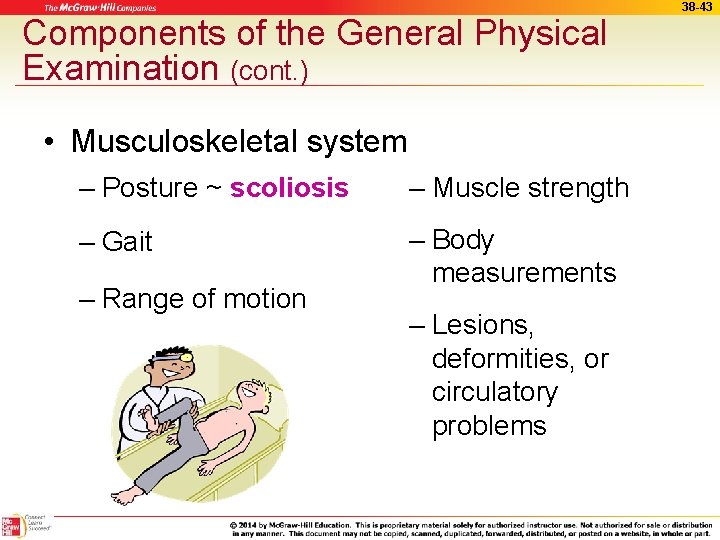 Components of the General Physical Examination (cont. ) • Musculoskeletal system – Posture ~