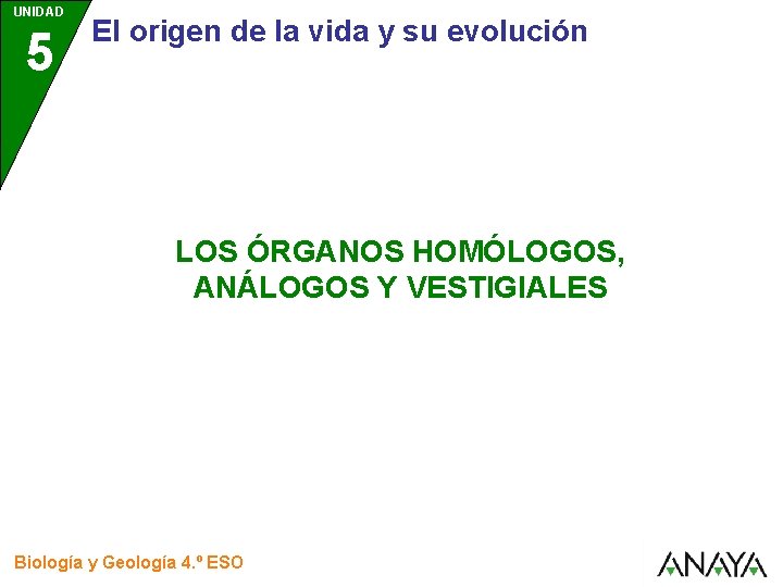 UNIDAD 5 El origen de la vida y su evolución LOS ÓRGANOS HOMÓLOGOS, ANÁLOGOS UNIDAD 5 El origen de la vida y su evolución LOS ÓRGANOS HOMÓLOGOS, ANÁLOGOS