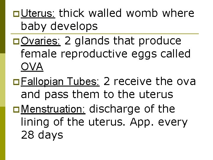 p Uterus: thick walled womb where baby develops p Ovaries: 2 glands that produce