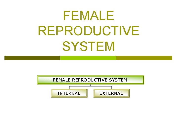 FEMALE REPRODUCTIVE SYSTEM INTERNAL EXTERNAL 
