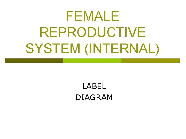 FEMALE REPRODUCTIVE SYSTEM (INTERNAL) LABEL DIAGRAM 