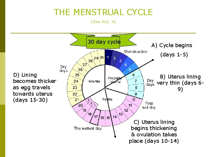 Grade 9 Unit1 Sexual Reproduction When Ever You