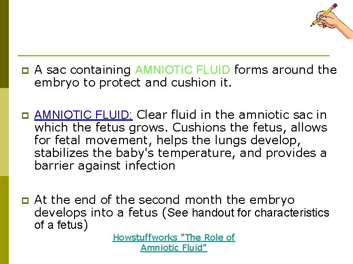 Trimester 1 (cont'd) p A sac containing AMNIOTIC FLUID forms around the embryo to