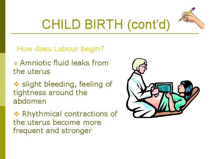 CHILD BIRTH (cont’d) How does Labour begin? v Amniotic fluid leaks from the uterus