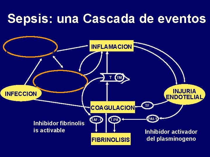 Sepsis: una Cascada de eventos Mediadores Pro-inflamatorios INFLAMACION Activated Protein C Mediadores Anti-Inflamatorios T Sepsis: una Cascada de eventos Mediadores Pro-inflamatorios INFLAMACION Activated Protein C Mediadores Anti-Inflamatorios T