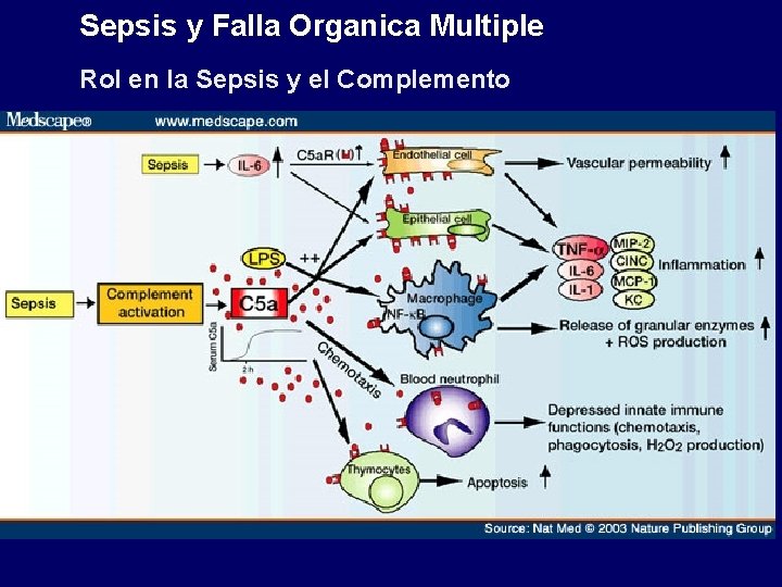 Sepsis y Falla Organica Multiple Rol en la Sepsis y el Complemento Sepsis y Falla Organica Multiple Rol en la Sepsis y el Complemento