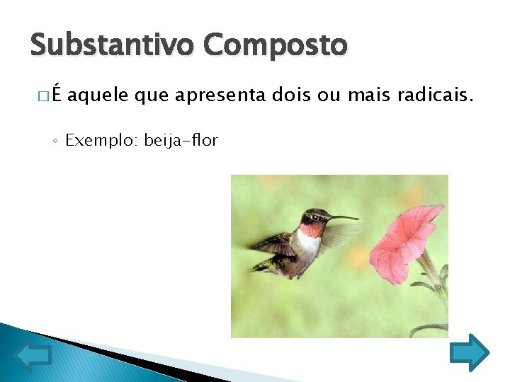 Substantivo Composto �É aquele que apresenta dois ou mais radicais. ◦ Exemplo: beija-flor 