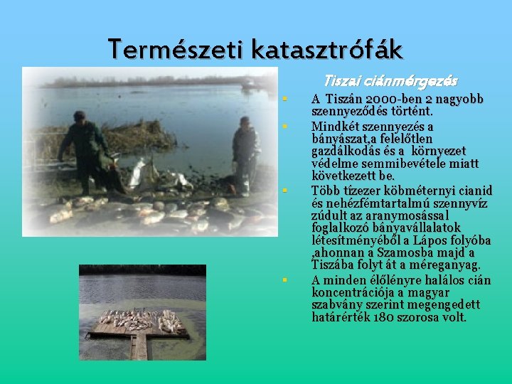 Természeti katasztrófák § § Tiszai ciánmérgezés A Tiszán 2000 -ben 2 nagyobb szennyeződés történt.