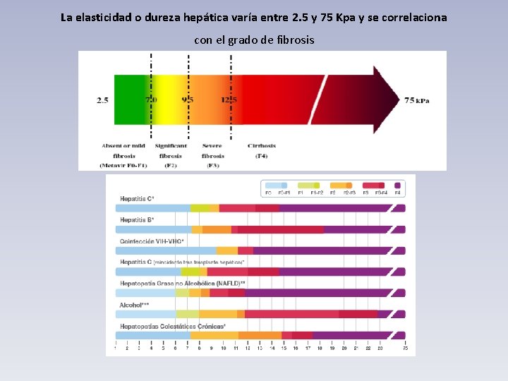 La elasticidad o dureza hepática varía entre 2. 5 y 75 Kpa y se