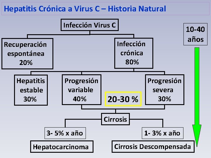 Hepatitis Crónica a Virus C – Historia Natural Infección Virus C Infección crónica 80%