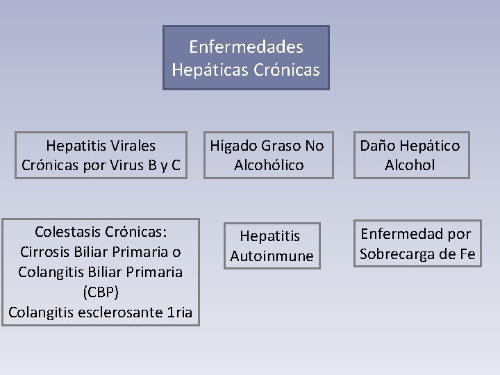 Enfermedades Hepáticas Crónicas Hepatitis Virales Crónicas por Virus B y C Hígado Graso No