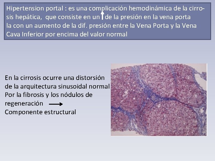 Hipertension portal : es una complicación hemodinámica de la cirrosis hepática, que consiste en