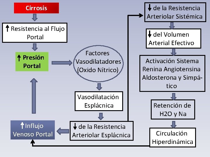 de la Resistencia Arteriolar Sistémica Cirrosis Resistencia al Flujo Portal Presión Portal del Volumen