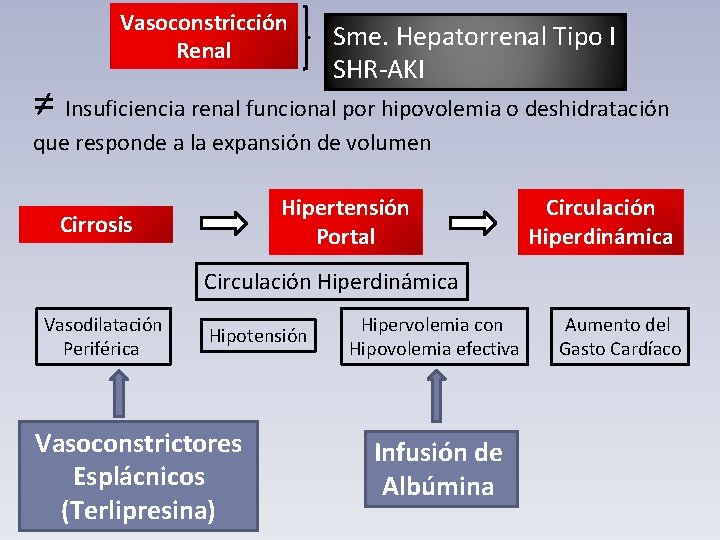 Vasoconstricción Renal Sme. Hepatorrenal Tipo I SHR-AKI ≠ Insuficiencia renal funcional por hipovolemia o