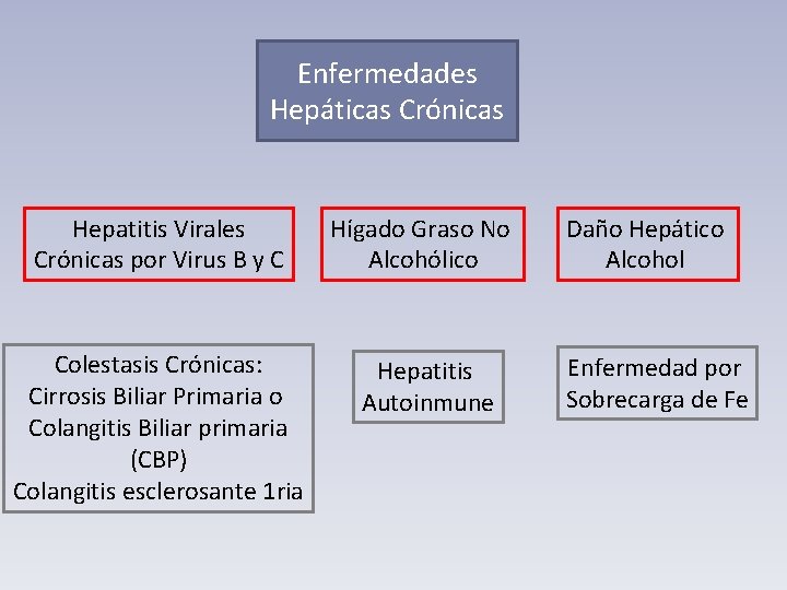 Enfermedades Hepáticas Crónicas Hepatitis Virales Crónicas por Virus B y C Hígado Graso No