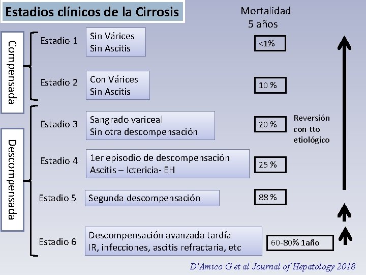 Estadios clínicos de la Cirrosis Mortalidad 5 años Compensada Descompensada Estadio 1 Sin Várices