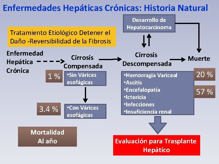 Enfermedades Hepáticas Crónicas: Historia Natural Tratamiento Etiológico Detener el Daño -Reversibilidad de la Fibrosis