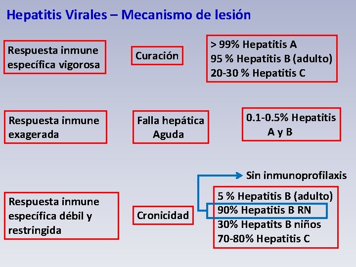 Hepatitis Virales – Mecanismo de lesión Respuesta inmune específica vigorosa Curación Respuesta inmune exagerada