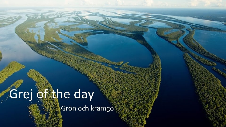 Grej of the day Grön och kramgo 