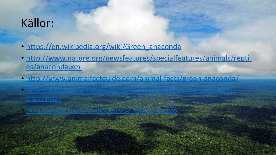 Källor: • https: //en. wikipedia. org/wiki/Green_anaconda • http: //www. nature. org/newsfeatures/specialfeatures/animals/reptil es/anaconda. xml •