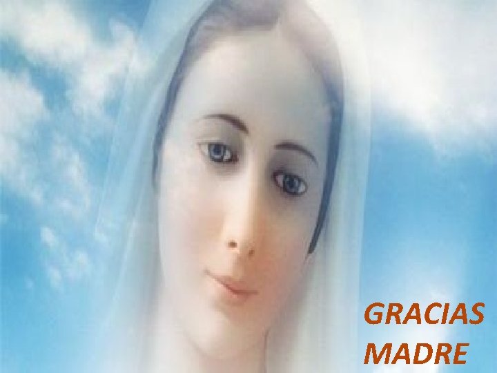 Milicia de la Inmaculada GRACIAS MADRE 