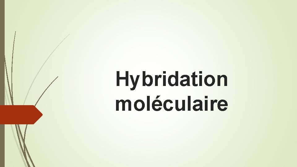 Hybridation moléculaire 