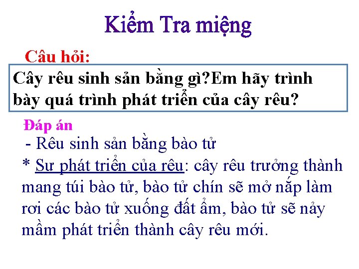 Câu hỏi: Cây rêu sinh sản bằng gì? Em hãy trình bày quá trình