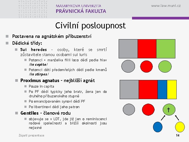 www. law. muni. cz Civilní posloupnost n Postavena na agnátském příbuzenství n Dědické třídy: