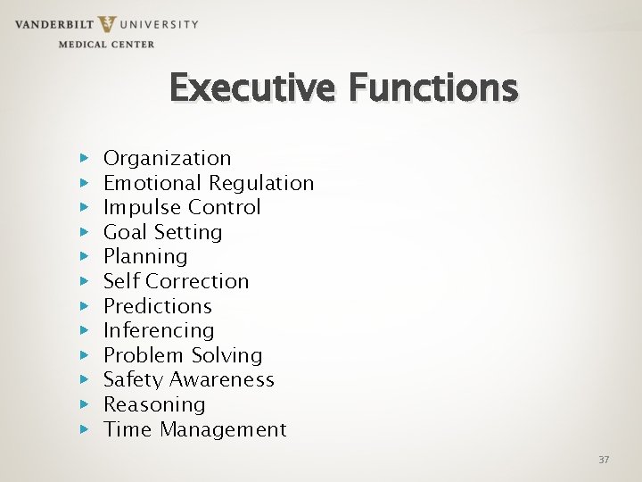 Executive Functions ▶ ▶ ▶ Organization Emotional Regulation Impulse Control Goal Setting Planning Self