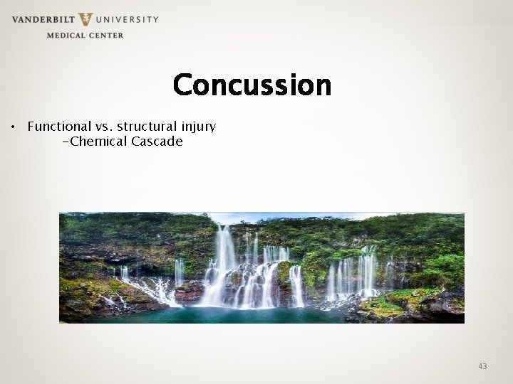 Concussion • Functional vs. structural injury -Chemical Cascade 43 