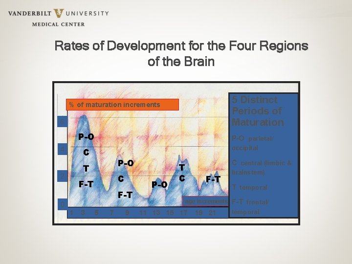 Rates of Development for the Four Regions of the Brain 5 Distinct Periods of