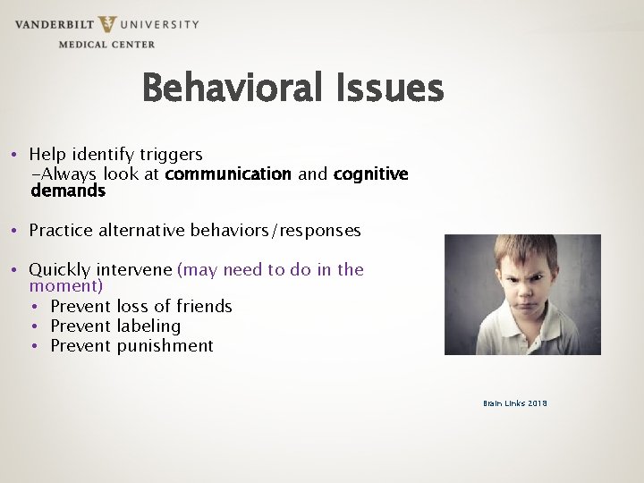 Behavioral Issues • Help identify triggers -Always look at communication and cognitive demands •