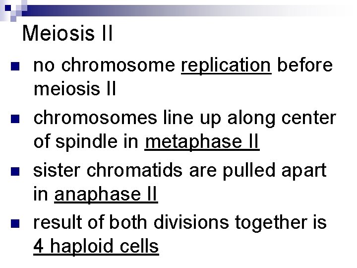 Meiosis II n n no chromosome replication before meiosis II chromosomes line up along Meiosis II n n no chromosome replication before meiosis II chromosomes line up along