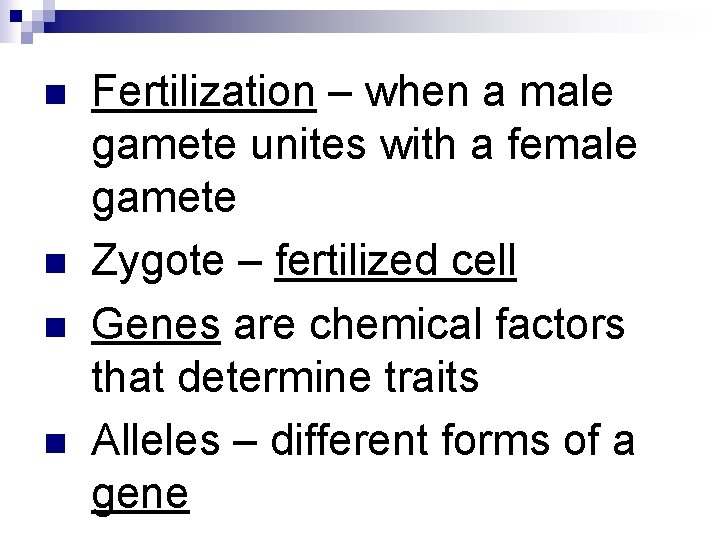 n n Fertilization – when a male gamete unites with a female gamete Zygote n n Fertilization – when a male gamete unites with a female gamete Zygote