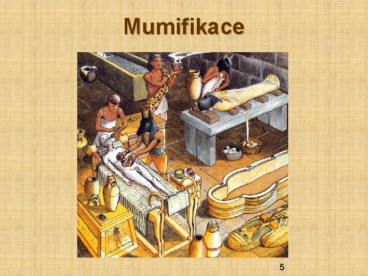 Mumifikace 5 