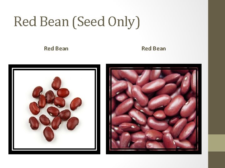 Red Bean (Seed Only) Red Bean 