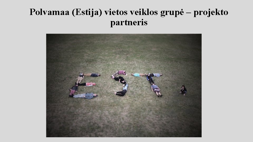 Polvamaa (Estija) vietos veiklos grupė – projekto partneris 